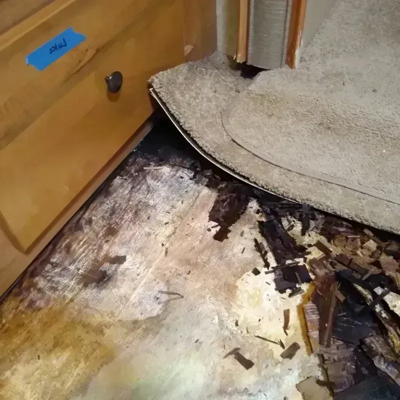 Best Wood Floor Water Damage Service in Riverside, IL